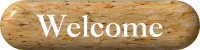 Welcome!